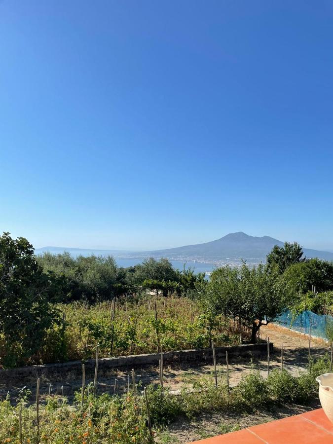 Palipano House Villa Pimonte Eksteriør bilde